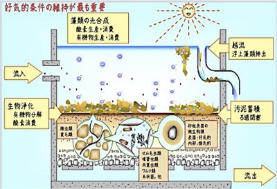 大気浄化法